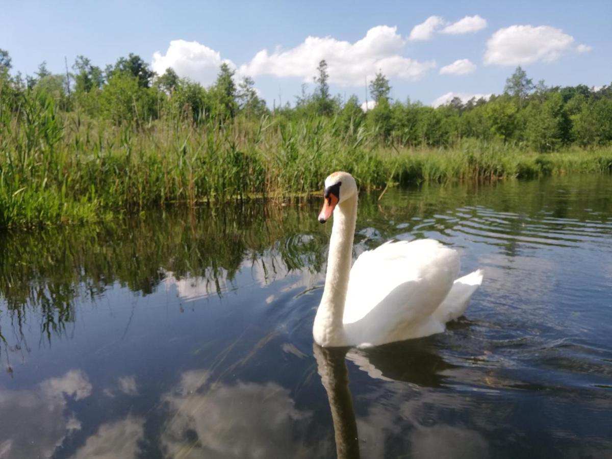 Apartamenty Na Szlaku Gizycko Exterior photo